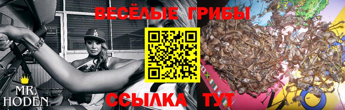 Псилоцибиновые грибы прущие грибы  Вход с VPN  Мыски 